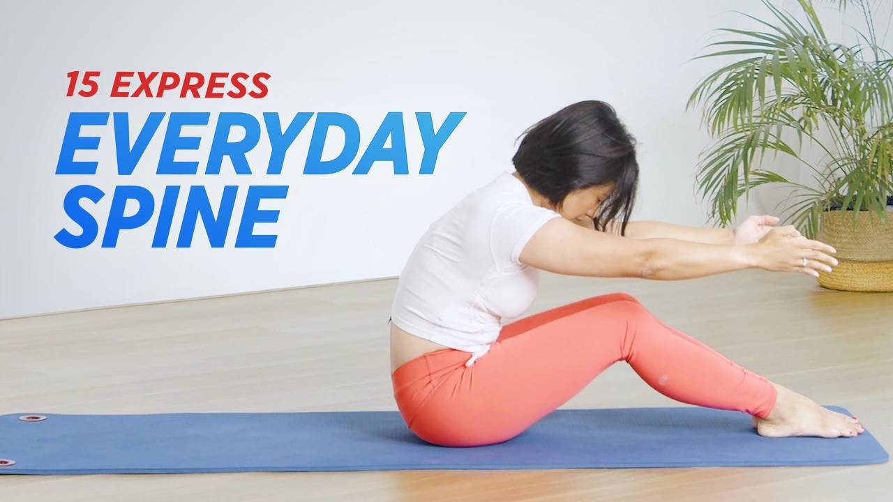 467Express Everyday Spine