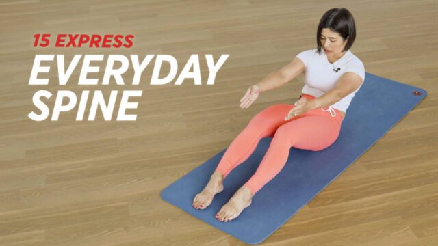 471Express Everyday Spine