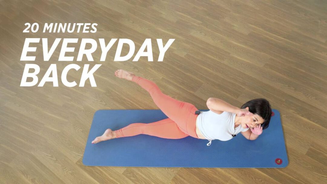 Everyday Back