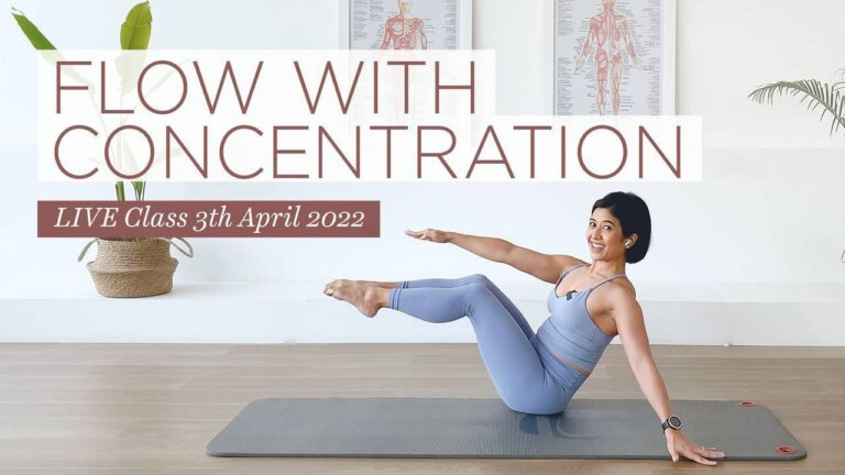 Flow with Concentration