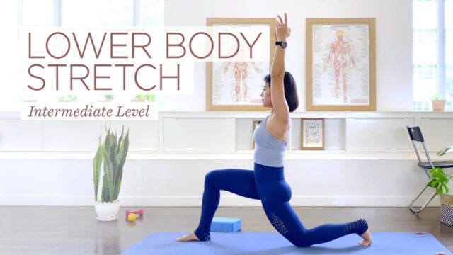 Lower Body Stretch