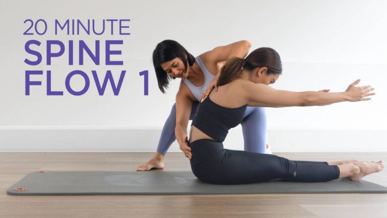 Spine Flow