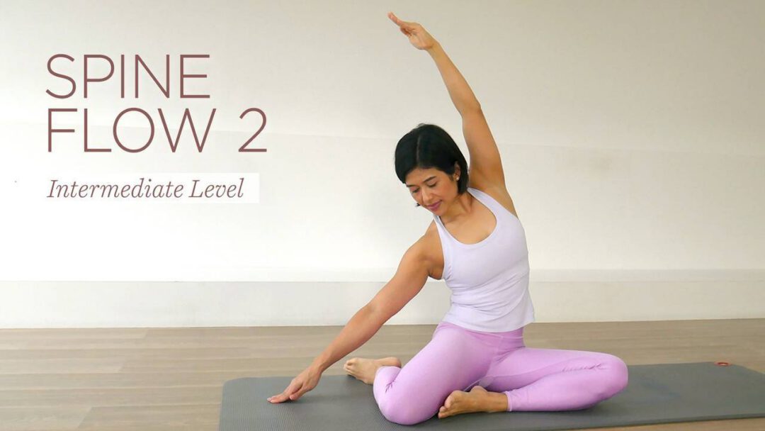 Spine Flow