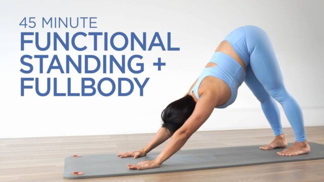347Functional Standing Full Body Beginner