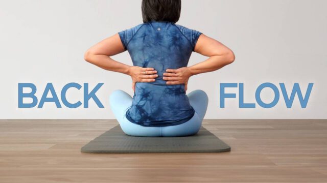355Back Flow Beginner